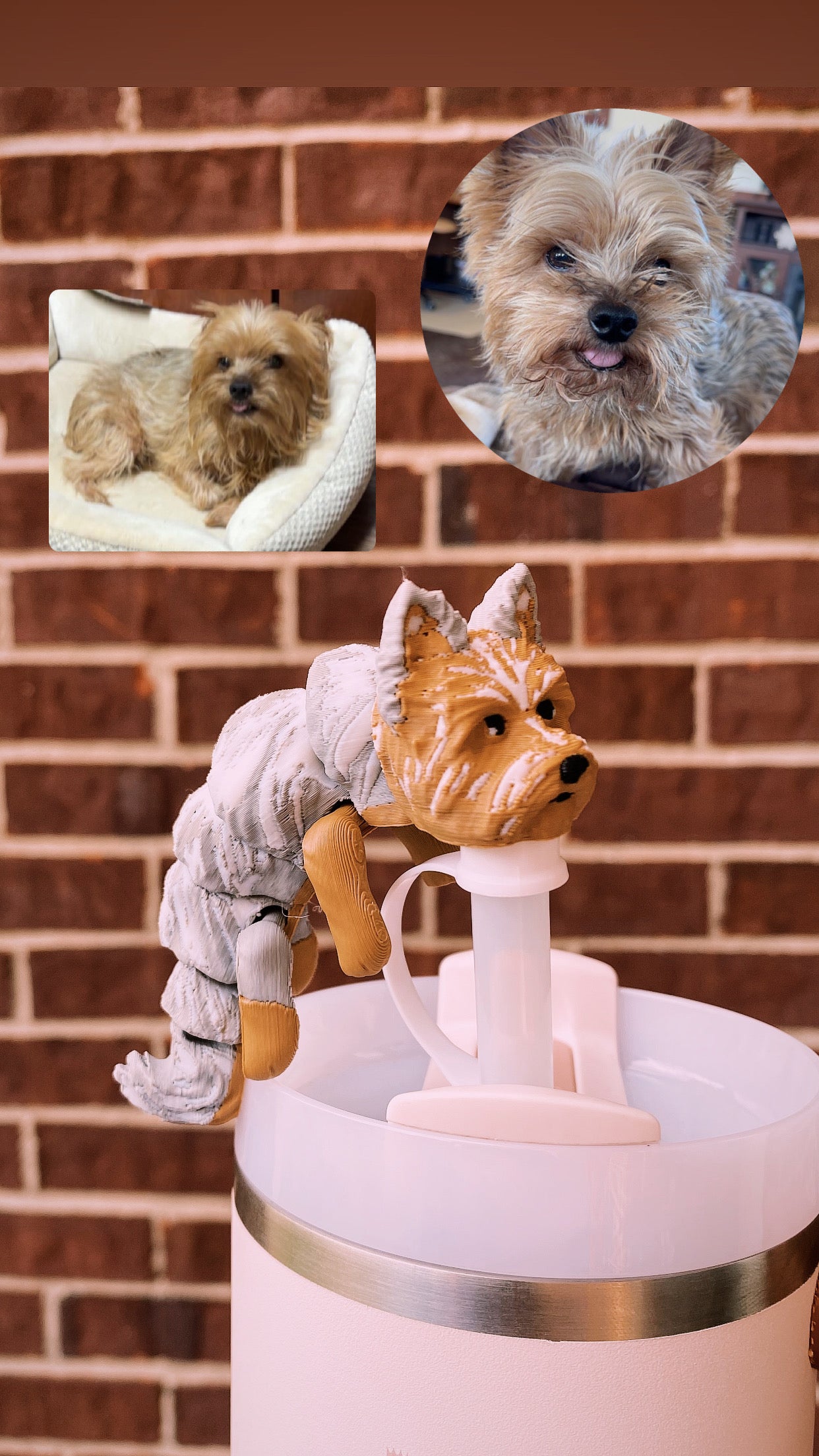 Custom Full Body Dog Straw Toppers/Charms 3D Printed for Stanley Tumblers or other 9.5mm Straws
