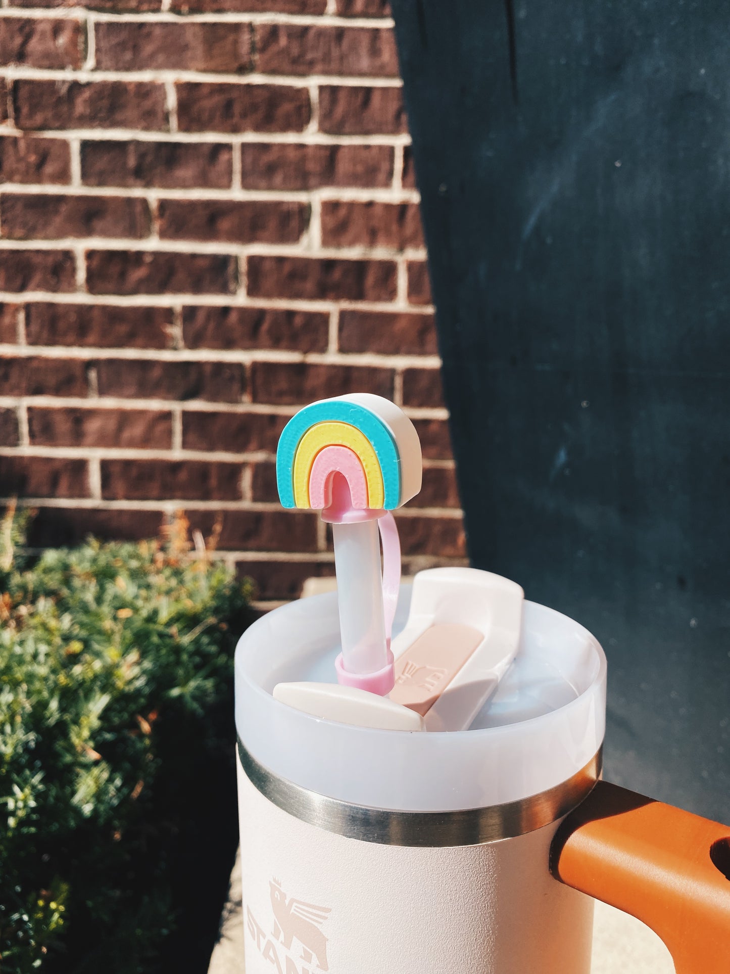 Rainbow Marshmallow Lucky Charm Cereal Straw Topper/ Charm for Stanely Tumblers and othe 9.5mm Straws