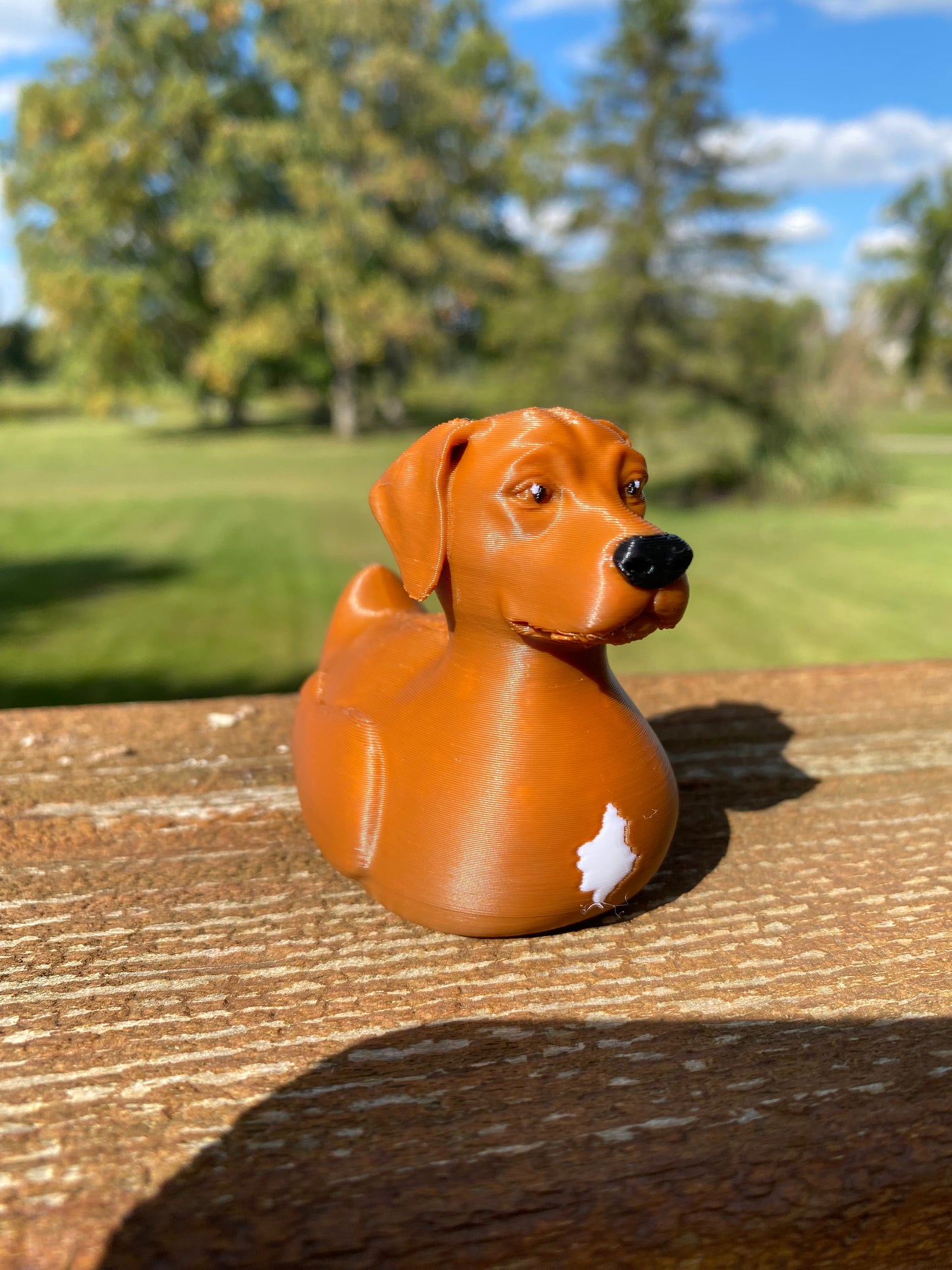 Rhodesian Ridgeback Duck Miniature Figurine For Jeep Wrangler Dashboard 3D Printed