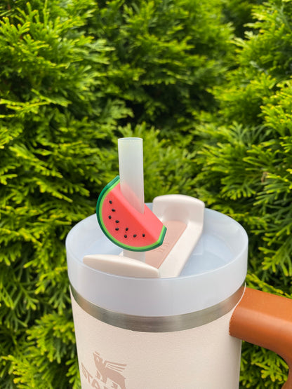 Watermelon Slice Straw Topper/ Charm for Stanely Tumblers and other 9.5mm Straws