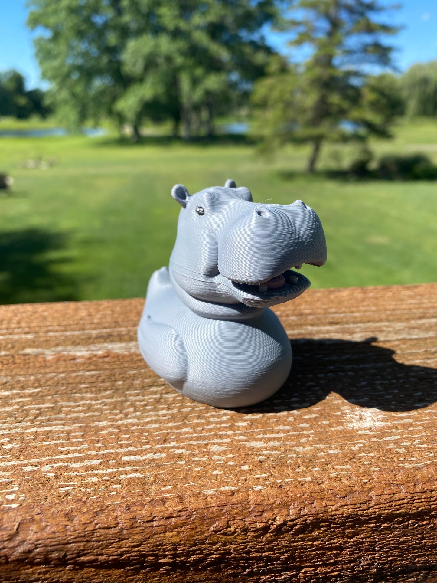 Hippo Duck Miniature Figurine For Jeep Wrangler Dashboard 3D Printed