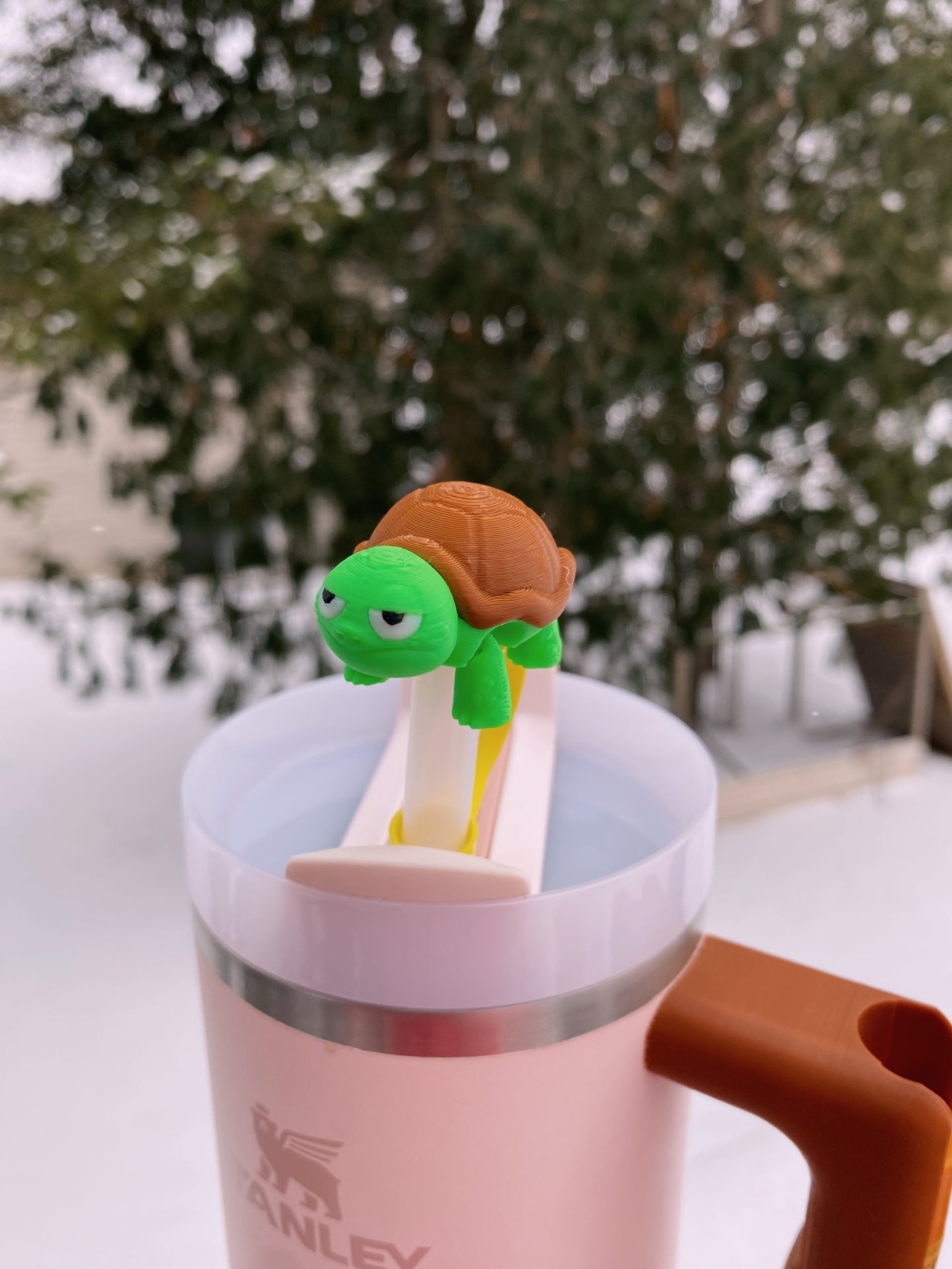 Annoyed Concerned Funny Cute Turtle Sea Turtle Painted Turtle Tortoise Straw Topper/ Charm for Stanely Tumblers and other 9.5mm Straws