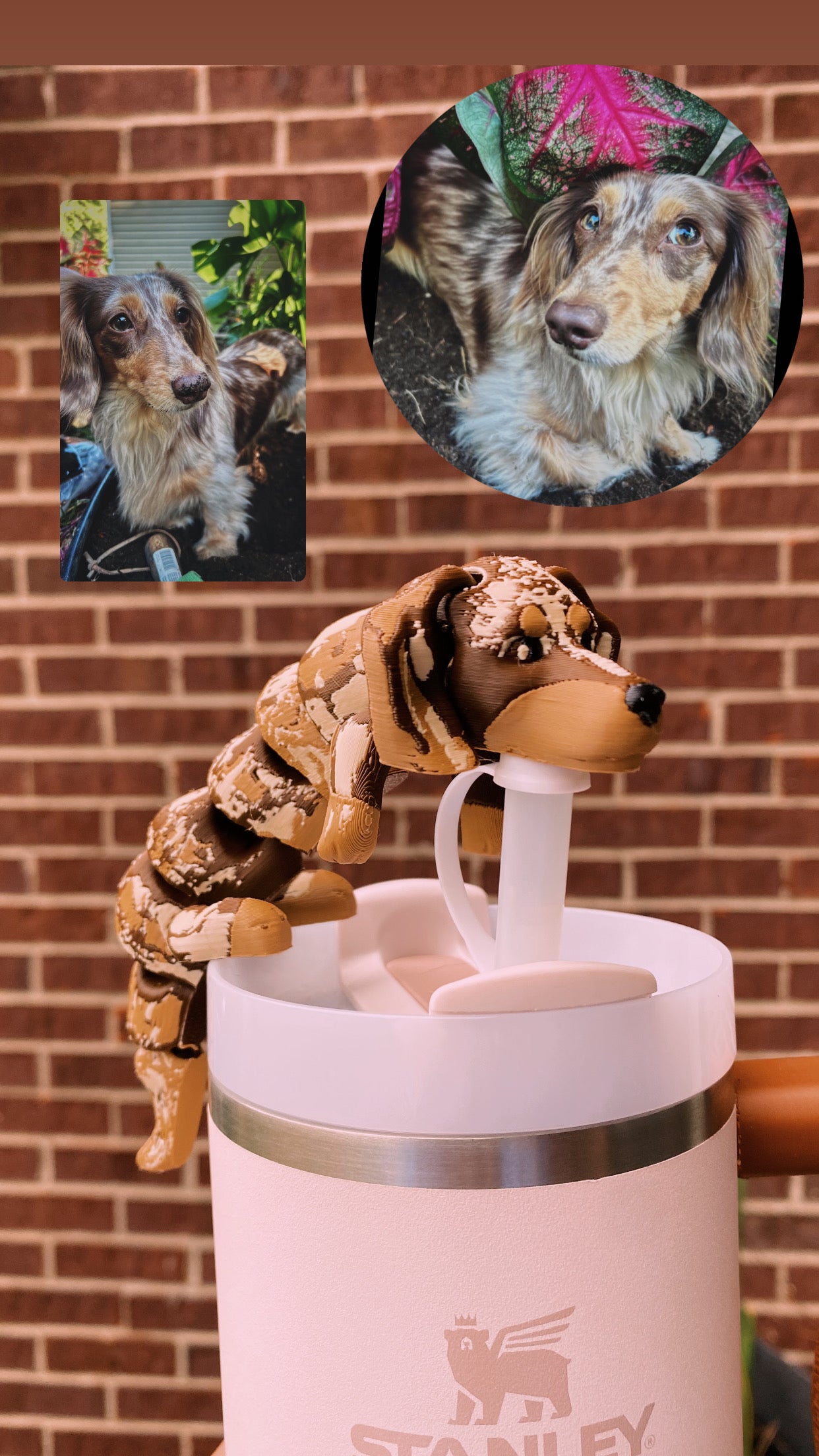 Custom Full Body Dog Straw Toppers/Charms 3D Printed for Stanley Tumblers or other 9.5mm Straws