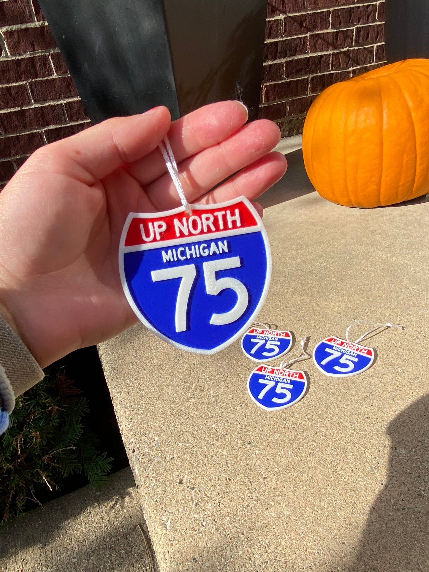 Custom 3D Printed Miniature Replica Street Signs and Exit Signs Christmas Tree Ornaments, Desk Ornaments, Rearview Mirror Hangs