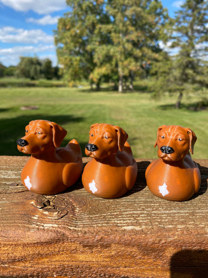 Rhodesian Ridgeback Duck Miniature Figurine For Jeep Wrangler Dashboard 3D Printed