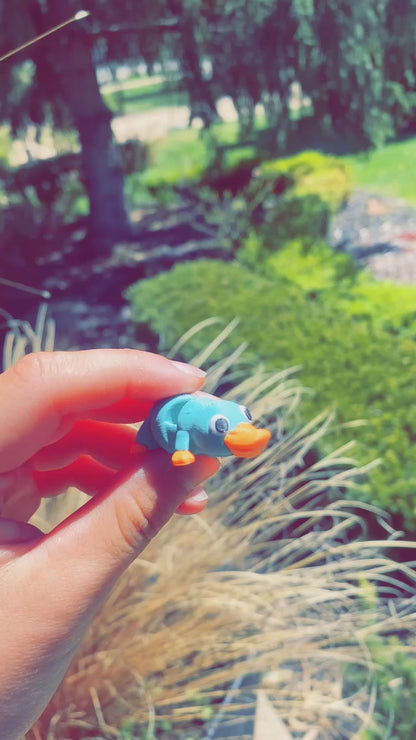 Platypus Perry Blue and Orange Platypus 3D Printed Articulated Fidget Toys and Keychains